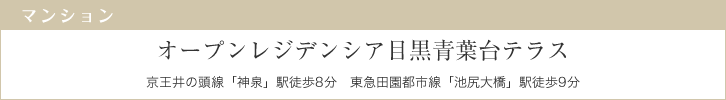 オープンレジデンシア目黒青葉台テラス　京王井の頭線「神泉」駅徒歩8分　東急田園都市線「池尻大橋」駅徒歩9分